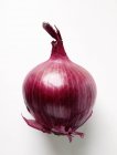 Whole Red onion — Stock Photo