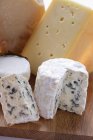Vários tipos de queijos — Fotografia de Stock