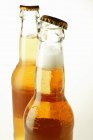 Flaschen Ingwer Ale — Stockfoto