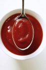 Ketchup en tazón pequeño - foto de stock