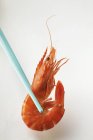 Petites crevettes rouges sur baguettes — Photo de stock