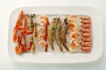 Crevettes sur glaçons — Photo de stock
