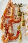 Shrimps on ice cubes — Stock Photo