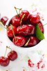 Cerezas rojas frescas - foto de stock