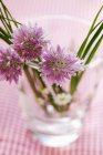 Ciboulette fraîche aux fleurs — Photo de stock