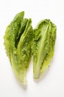 Зеленый роменский салат — стоковое фото