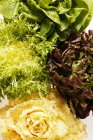 Salat mit rotem und weißem Radicchio — Stockfoto