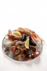 Elevated view of seafood on plate of crushed ice — Stock Photo