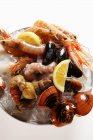Closeup view of seafood on plate of crushed ice — Stock Photo