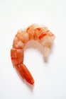 Shrimp on white background — Stock Photo