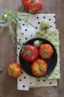 Disposizione di pomodori da giardino freschi — Foto stock