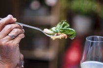 Cropped view of hand holding fork of salad — Stock Photo