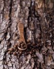 Allspice em uma colher de madeira em um pedaço de latido — Fotografia de Stock