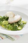 Филе трески на зеленом салате на белой тарелке над полотенцем — стоковое фото