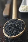 Семена черного кунжута — стоковое фото