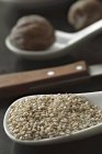 Sesame seeds on porcelain spoon — Stock Photo