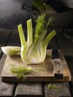 Fresh fennel halved — Stock Photo