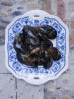 Mussels on porcelain plate — Stock Photo