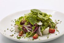 Смешанный салат из листьев с радиккио и пальмовыми сердцами на белой тарелке — стоковое фото