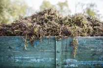 Дневной вид на виноградные стебли в деревянном фургоне — стоковое фото