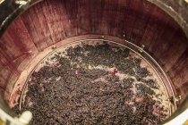 Високий вид на червоне вино пюре бродіння в дерев'яній ванні — стокове фото
