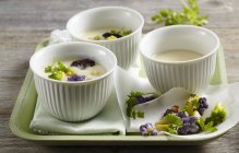 Cream of cauliflower soup with Romanesco broccoli — Stock Photo