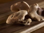 Fresh shiitake mushrooms — Stock Photo