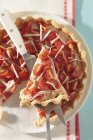 Тунец и томатный пирог — стоковое фото