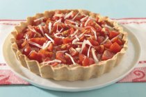 Тунец и томатный пирог — стоковое фото