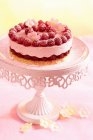 Raspberry cake on pink cake stand — Stock Photo