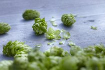 Closeup view of fresh green hops heap — Stock Photo