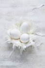 Goose eggs with feathers — Stock Photo