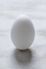 Fresh goose egg — Stock Photo