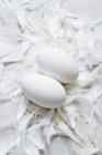 Гусиные яйца с перьями — стоковое фото