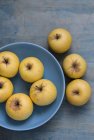 Свежие желтые яблоки — стоковое фото