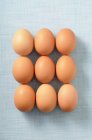 Дев'ять коричневих яйцях — стокове фото