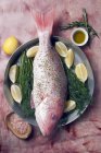 Fresh red snapper with ingredients — Stock Photo
