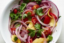 Salsa mit Tomaten, Zwiebeln und Korinther auf weißem Teller — Stockfoto