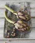Artichauts, haricots et thym — Photo de stock