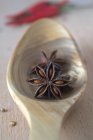 Star anise on a spoon ( — Stock Photo