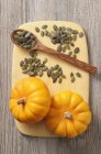 Seeds and mini pumpkins — Stock Photo