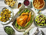Thanksgiving roast turkey — Stock Photo