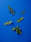 Folhas de foguete verde — Fotografia de Stock