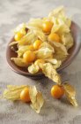 Ripe Physalis berries with capes — Stock Photo