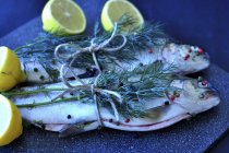 Trout fish with dill and lemons — Stock Photo
