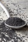 Vista de close-up de sementes de alcaravia pretas em uma colher — Fotografia de Stock