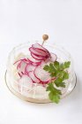 Salade de radis et fenouil — Photo de stock