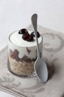 Joghurt-Müsli mit Hafer — Stockfoto