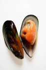Cooked New Zealand mussels — Stock Photo