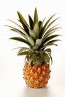 Bébé ananas mûr — Photo de stock